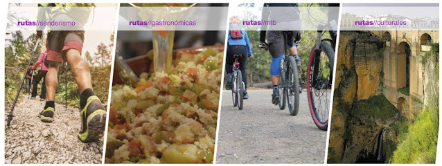 Andando por Málaga - Grupo senderismo en Málaga