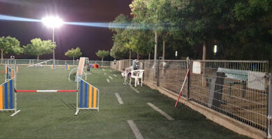 CLUB AGILITY BADALONA - Club de senderismo en Badalona