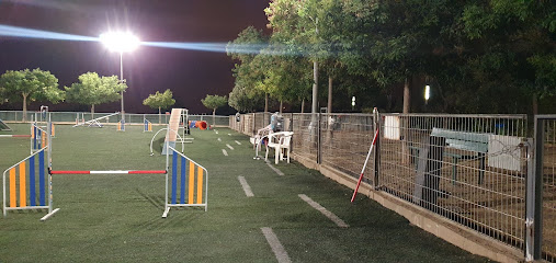 CLUB AGILITY BADALONA - Club de senderismo en Badalona
