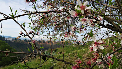 Cicerone Granada - Grupo senderismo en Granada