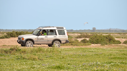 Doñana Activa - Agencia senderismo en Cádiz