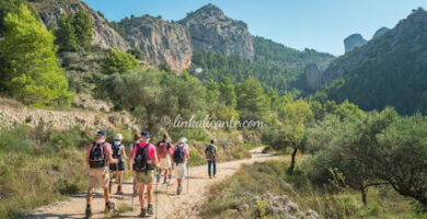LinkAlicante senderismo y naturaleza - Grupo senderismo en Alicante