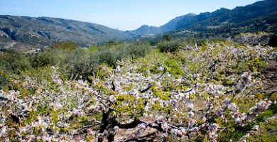 OXYTOURS - Agencia senderismo en Alicante