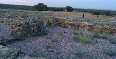 Platalea Naturaleza y Patrimonio - Agencia senderismo en Huelva