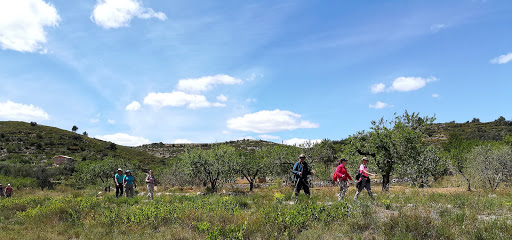 Sendeando - Grupo senderismo en Valencia