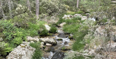 Senderismo en Madrid El Norte Magnético - Grupo senderismo en Madrid